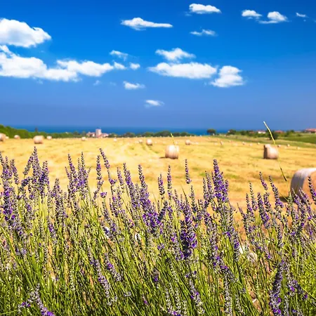 Novigrad, Istria 12 *