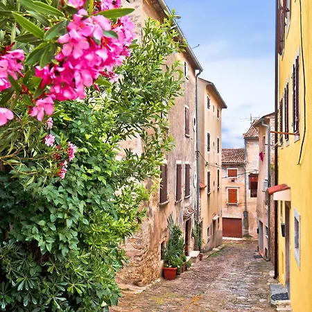 Novigrad, Istria 12 Karpinjan