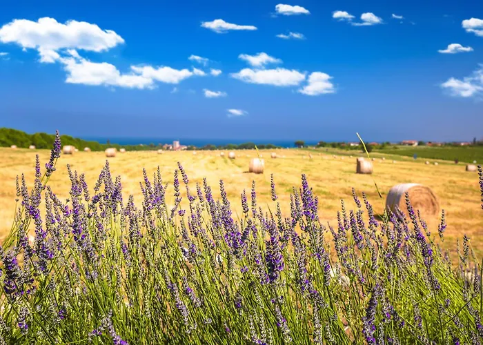 Novigrad, Istria 12 *