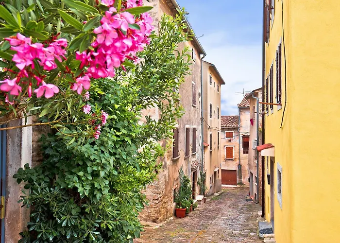 Novigrad, Istria 12 Karpinjan