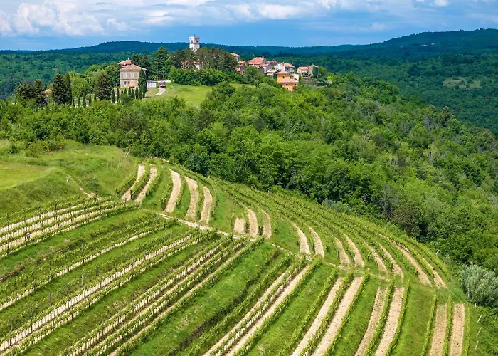 公寓 Novigrad, Istria 12